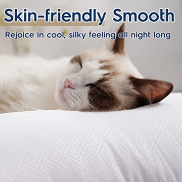 Viewstar King Size Pillows Set of 2 for Ultimate Comfort