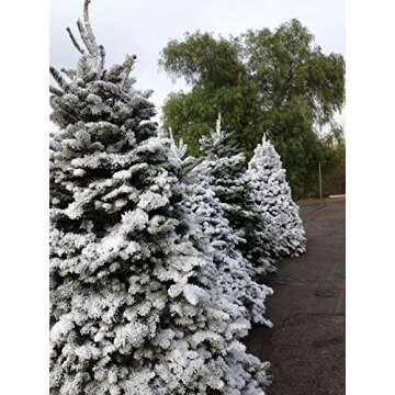 Peak Seasons 11101 25 Lbs White Sno-Bond Flock