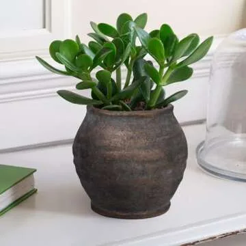 Briful 5.91'' Large Ceramic Rustic Vase Shabby Vintage Textured Vase, 4.72'' Wide Mouth Pampas Jar Vase Pottery for Fake Flowers Branches, Farmhouse Home Décor, Weddings Shelf Table Decor, Brown