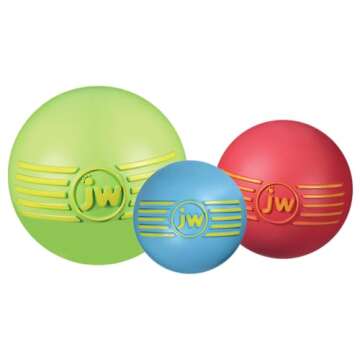 JW iSqueak Ball Durable Natural Rubber Dog Toy (Assorted Colors)