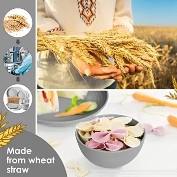 Teivio Eco-Friendly Wheat Straw Dinnerware Set for 6