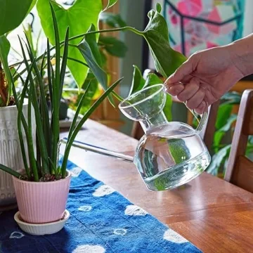 Modern Sprout Handcrafted Glass Watering Can for Plants
