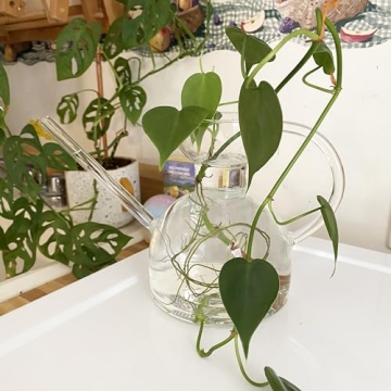 Modern Sprout Handcrafted Glass Watering Can for Plants