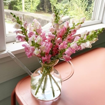 Modern Sprout Handcrafted Glass Watering Can for Plants