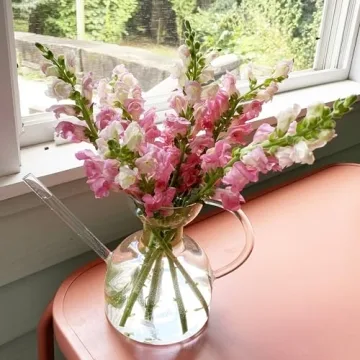 Modern Sprout Handcrafted Glass Watering Can for Plants