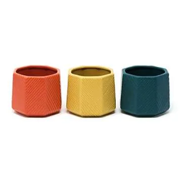 Succulent Pots Octagon Shaped 3 Pc. Small Plant Pots Set, Decorative Ceramic Planters for Indoor Outdoor Gardens and Cacti, Colorful Office and Home Decor for Living Room, Kitchen, or Desk