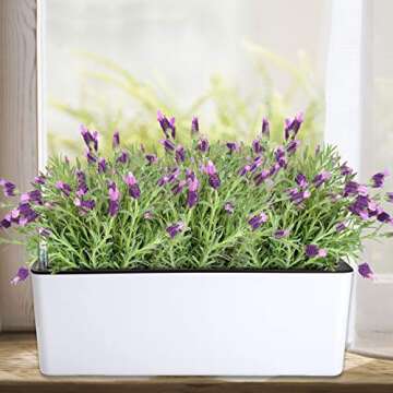Fasmov 2 Pack Rectangle Self Watering Planter with Water Level Indicator, 16x 5.5 Inch Window Gardening Box, Decorative Planter Pot for All House Plants Flowers Herbs, Decorative Planter Pot
