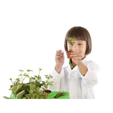 Thames & Kosmos Kids First Botany - Experimental Greenhouse Kit, Model:567004