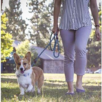 Friends Forever Extremely Durable Dog Rope Leash, Premium Quality Training Slip Lead, Reflective, Thick Heavy Duty, Sturdy, No Pull, Comfortable For The Strong Large Medium Small Pets 6 feet, Blue