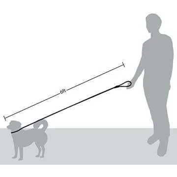 Friends Forever Extremely Durable Dog Rope Leash, Premium Quality Training Slip Lead, Reflective, Thick Heavy Duty, Sturdy, No Pull, Comfortable For The Strong Large Medium Small Pets 6 feet, Blue