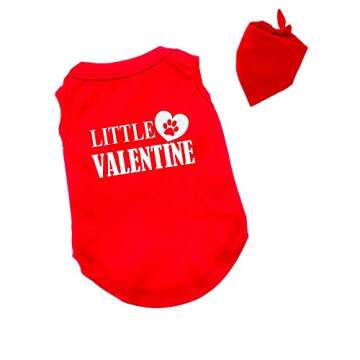 Matching Dog and Owner Valentine Outfit -My Dog is My Valentine, Adult Medium + Dog Small, Red