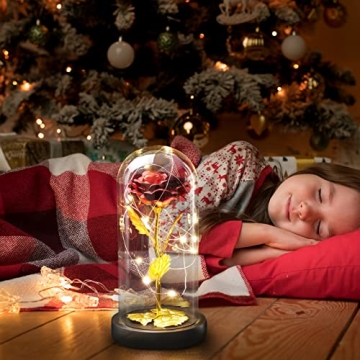 AUGOLA Galaxy Rose in Glass Dome - Unique Eternal Love Gift