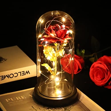 AUGOLA Galaxy Rose in Glass Dome - Unique Eternal Love Gift