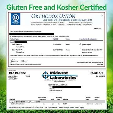 Brewers Yeast Powder - Natural Nutritional Yeast Powder & Active Yeast - Lactation Support & Lactation Supplement for Increased Breast Milk - Yeast for Bread & Yeast for Baking Lactation Cookies