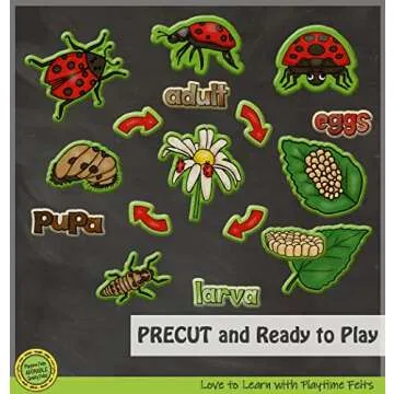 Playtime Felts Ladybug Life Cycle Story Set for Kids