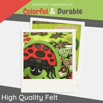 Playtime Felts Ladybug Life Cycle Story Set for Kids