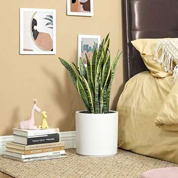 SONGMICS Ceramic Plant Pot, 10-Inch Planter, Flower Pot with Drainage Hole and Removable Plug, White ULCF001WT