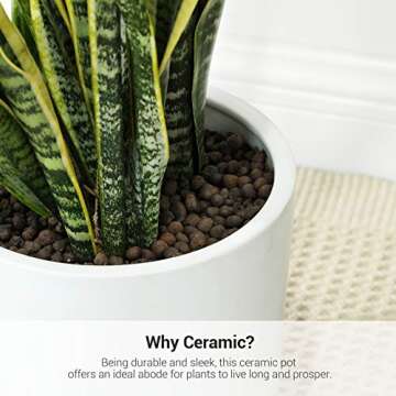 SONGMICS Ceramic Plant Pot, 10-Inch Planter, Flower Pot with Drainage Hole and Removable Plug, White ULCF001WT