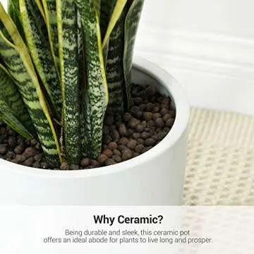 SONGMICS Ceramic Plant Pot, 10-Inch Planter, Flower Pot with Drainage Hole and Removable Plug, White ULCF001WT