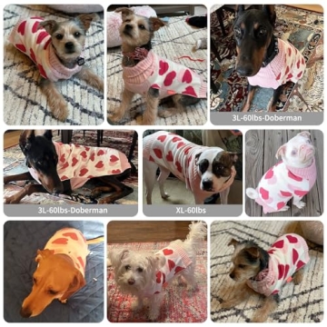 KYEESE Red Heart Dog Sweater for Valentine's Day