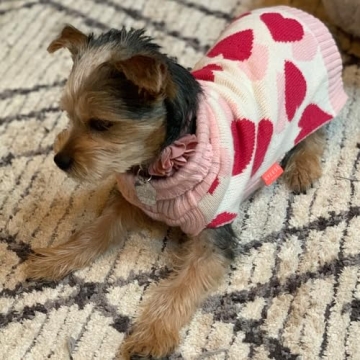 KYEESE Red Heart Dog Sweater for Valentine's Day