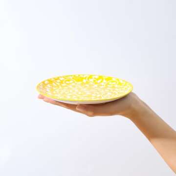 Selamica Ceramic Dessert Plates Set of 6, Small Salad Plates 6 Inch Appetizer Plates for Kitchen, Mi...