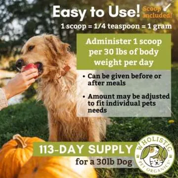 Wholistic Acidophilus Probiotic for Dogs - Digestive Health Boost