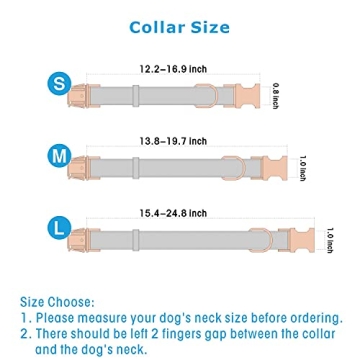 Soft Leather Dog Collar and Leash Set for Stylish Training