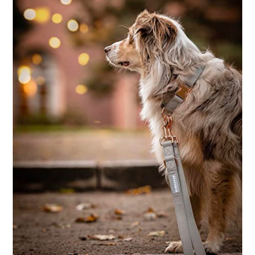 Soft Leather Dog Collar and Leash Set for Stylish Training