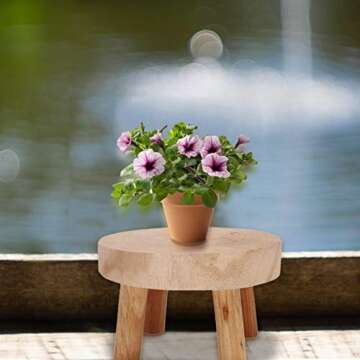 fineshelf Plant Stand, Natural Wooden Stool, Modern Round Plant Holder for Displaying Cakes, Plants, Candles, Decor