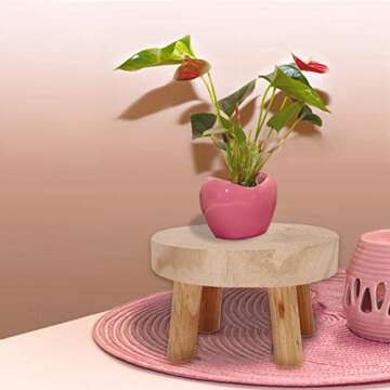 fineshelf Plant Stand, Natural Wooden Stool, Modern Round Plant Holder for Displaying Cakes, Plants, Candles, Decor