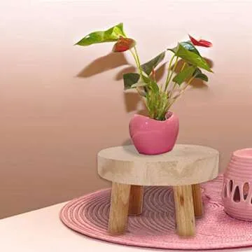 fineshelf Plant Stand, Natural Wooden Stool, Modern Round Plant Holder for Displaying Cakes, Plants, Candles, Decor