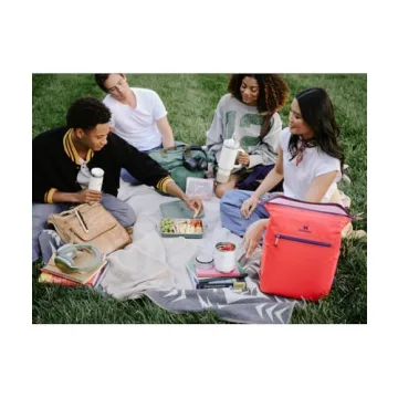 STANLEY Adventure To-Go Food Jar 18 oz - Leakproof and Insulated