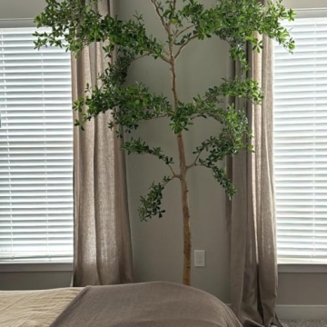 Faux Black Olive Tree for Home & Office Decor 6ft