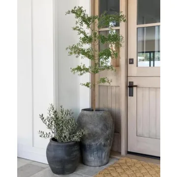Faux Black Olive Tree for Home & Office Decor 6ft