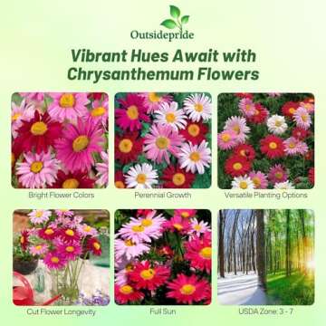 Outsidepride 5000 Seeds Perennial Chrysanthemum Robinson's Flower Seed Mix for Planting