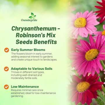 Chrysanthemum Robinson's Flower Seed Mix - 5000 Seeds