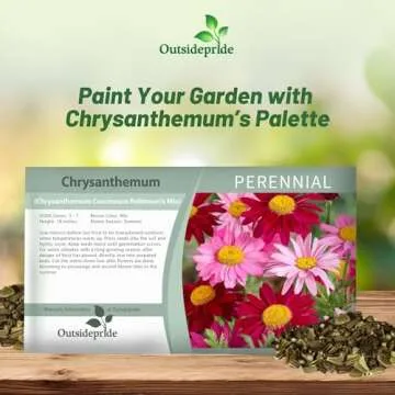 Chrysanthemum Robinson's Flower Seed Mix - 5000 Seeds