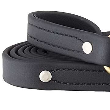 Ray Allen Mfg Signature K9 Biothane Leash, 6-Feet x 3/4-Inch, Black