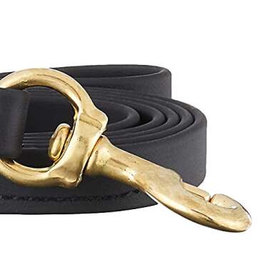 Ray Allen Mfg Signature K9 Biothane Leash, 6-Feet x 3/4-Inch, Black