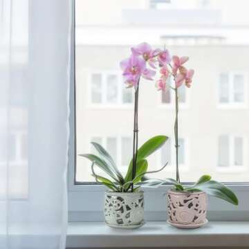 HERDUK Ceramic Orchid Pot, Orchid Pots with Drainage Holes & Saucer 6.5 Inch,Orchid Pot for Repotting Indoor, Orchid Containers with Precise Aeration & Drainage
