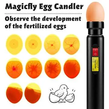 Magicfly Egg Candler: Rechargeable LED Light for Eggs