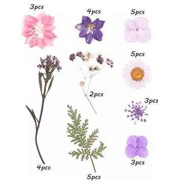 Aunifun Real Dried Pressed Flowers, Nature Dried Flowers Assorted Colorful Daisies for Art Craft DIY Flower Resin Molds (Pink)