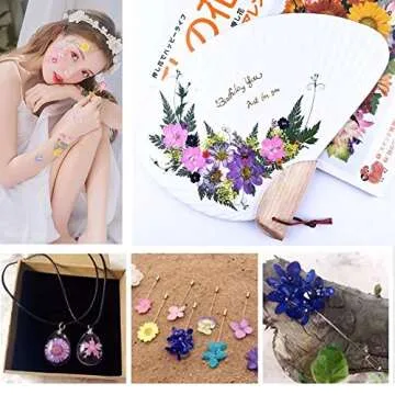 Aunifun Real Dried Pressed Flowers, Nature Dried Flowers Assorted Colorful Daisies for Art Craft DIY Flower Resin Molds (Pink)