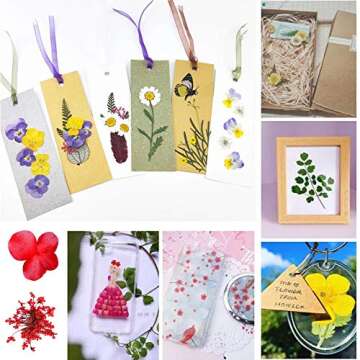 Aunifun Real Dried Pressed Flowers, Nature Dried Flowers Assorted Colorful Daisies for Art Craft DIY Flower Resin Molds (Pink)