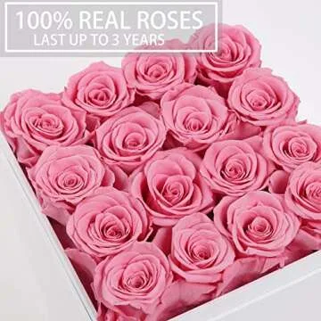 Perfectione Roses Luxury Preserved Roses in a Box, Forever Flowers for Delivery Prime, Mothers Day Valentines Day Gifts for Women Birthday Gifts (Pink)