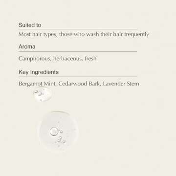 Aesop Classic Conditioner | Lightly Nourish, Hydrate, Disentangle and Smooth Hair | Botanical Oils with Hydrating and Hair-Softening Properties | 17.7 oz