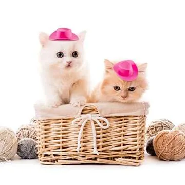 Mini Cowboy Hats for Parties and Crafts - 20 Pack