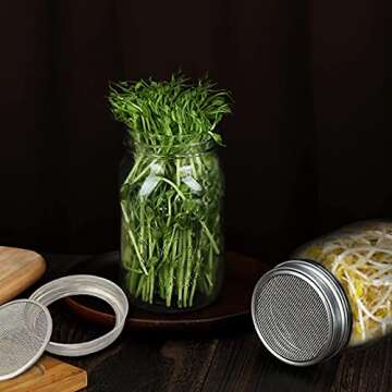 Sprouting Jar Kit - Mason Jar with Stainless Steel Lid