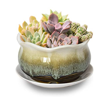 Rustic Ceramic Planter for Succulents Small Plants